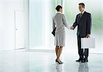 Businessman and businesswoman shaking hands