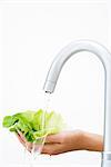 Woman rinsing lettuce under faucet, cropped view of hands