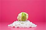 Food concept, fresh cauliflower on top of pile of sugarcubes