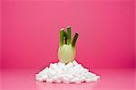 Food concept, fresh fennel on top of pile of sugar cubes