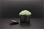 Concept de restauration, brocoli frais en pot miniature