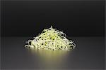 Alfalfa sprouts