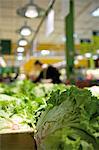 Römersalat, Leiter Abteilung des Supermarktes zu produzieren
