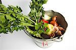 Celeriac and assorted vegetables in bucket