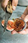 Cutting a ripe fig