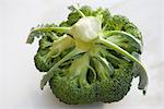 Couronne de brocoli