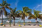 Hafen von Juangriego, Juangriego, Isla De Margarita (Isla Margarita), Nueva Esparta, Venezuela, Südamerika