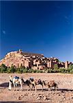 Chameaux et chamelier contre la célèbre kasbah d'Ait Benhaddou, utilisé comme toile de fond à de nombreux films hollywoodiens, Ait Benhaddou, patrimoine mondial de l'UNESCO, Ouarzazate, Maroc, Afrique du Nord, Afrique