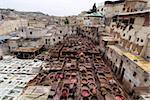 Tannerie, Fès, au Maroc, en Afrique du Nord, Afrique