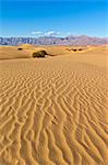 Ondulations du sable, des buissons de mesquite dans les dunes de sable de Mesquite Flats, montagnes de vigne de la gamme Amargosa derrière, Stovepipe Wells, Death Valley National Park, California, États-Unis d'Amérique, Amérique du Nord