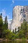 El Capitan, a 3000 feet granite monolith, with the Merced River flowing through Yosemite Valley, Yosemite National Park, UNESCO World Heritage Site, Sierra Nevada, California, United States of America, North America