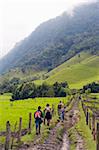 Randonnée dans la vallée de Cocora, Salento, en Colombie, en Amérique du Sud