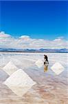 Man collecting salt, Salir de Uyuni, salt flats, Bolivia, South America