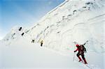 limbers on the glacier of Volcan Cotopaxi, at 5897m the highest active volcano in the world, Ecuador, South America