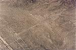 Kolibri, Linien und Bodenzeichnungen von Nasca, UNESCO World Heritage Site, Peru, Südamerika