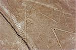 Araignée, lignes et géoglyphes de Nasca, Site du patrimoine mondial de l'UNESCO, le Pérou, l'Amérique du Sud