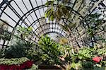 Amérique du Nord de bâtiment botanique, Balboa Park, San Diego, Californie, États-Unis d'Amérique,