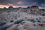 Paysage, Joshua Tree National Park, California, États-Unis d'Amérique, l'Amérique du Nord