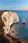 The Parson's Barn rock stack near Handfast Point, Ballard Down, Jurassic Coast, UNESCO World Heritage Site, Dorset, England, United Kingdom, Europe
