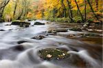 The rocky River Teign near Fingle Bridge in autumn, Dartmoor National Park, Devon, England, United Kingdom, Europe