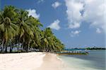 Dubpur Island, San Blas Islands (Kuna Yala Islands), Panama, Central America