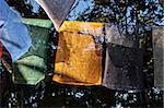 Buddhistisches Gebet Flaggen hängen in der Nähe der Mahakal Buddhistisches Mönchskloster, Observatory Hill, Darjeeling, Westbengalen, Asien