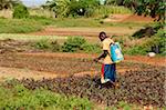 Fermier africain, Togo, Afrique de l'Ouest, Afrique