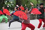 Tai-Chi-Übungen mit Ventilatoren, Macau, China, Asien