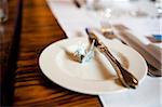 Origami Crane on Place Setting