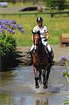 Horse Rider Crossing Water, Equestrian Event