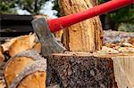 Axe wedged into tree stump