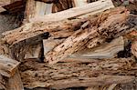 Close-up view of weathered driftwood