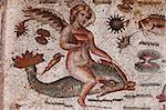 Angel riding on a dolphin, part of the Amphitrite Roman mosaic, House of Amphitrite, Bulla Regia Archaeological Site, Tunisia, North Africa, Africa