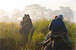 Touristes sur les éléphants, Parc National de Kaziranga, UNESCO World Heritage Site, nord-est de l'Inde, l'Assam, Inde, Asie