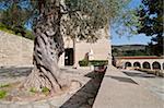 Monastery Chrysorrogiatissa, Paphus, Cyprus, Europe