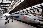 Passengers and TGV high-speed train, Gare de Lyon, Paris, France, Europe