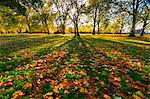 Hyde Park in autumn, London, England, United Kingdom, Europe