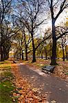 Green Park in autumn, London, England, United Kingdom, Europe