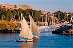 River Nile, Aswan, Upper Egypt, Egypt, North Africa, Africa