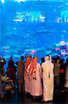 Aquarium, Dubai Mall, Dubai, United Arab Emirates, Middle East