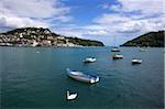 Swan and boats in the River Dart estuary in Dartmouth, Devon, England, United Kingdom, Europe