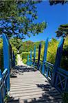 Pont bleu de style japonais dans les jardins subtropicaux de l'abbaye, île de Tresco, îles de Scilly, Angleterre, Royaume-Uni, Europe