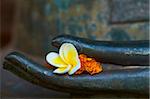 Fleur de frangipanier sur la main de statue de Bouddha, Haw Pha Kaeo, Vientiane, Laos, Indochine, Asie du sud-est, Asie