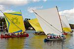 Gommier (traditional boat) race, Les Trois-Ilets, Martinique, French West Indies, Caribbean, Central America