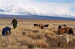 Nomade mongol en hiver, la Province de Hovd, la Mongolie, l'Asie centrale, Asie