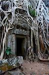 Arbre racines autour de l'entrée au temple de Ta Prohm construit en 1186 par le roi Jayavarman VII, Angkor, patrimoine mondial de l'UNESCO, Siem Reap, Cambodge, Indochine, Asie du sud-est, Asie