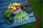 Fresh Picked Garden Vegetables, Toronto, Ontario, Canada