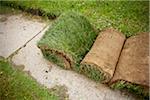 Rolls of Sod on Path, Toronto, Ontario, Canada