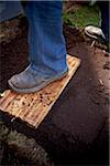 Gardener Compacting Soil with Wood Plank, Toronto, Ontario, Canada