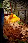 Gärtner Rechen frisch Cedar Mulch auf Blumenbeet, Toronto, Ontario, Kanada